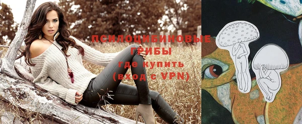 ALPHA-PVP Богородицк