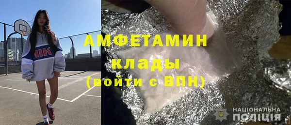 ГАЛЛЮЦИНОГЕННЫЕ ГРИБЫ Богданович