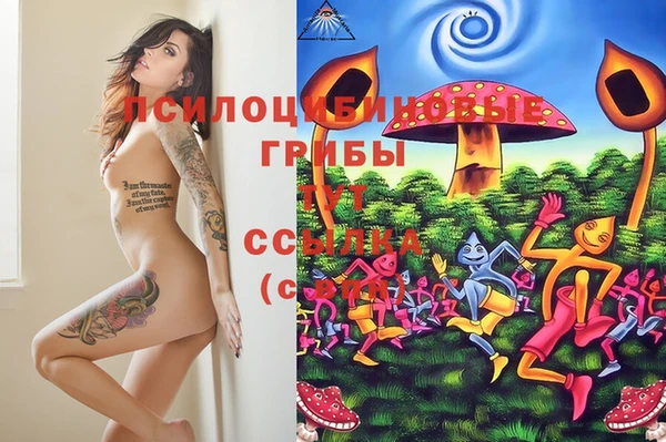 прущая мука Белокуриха