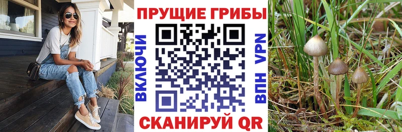 Псилоцибиновые грибы мухоморы  Свободный 